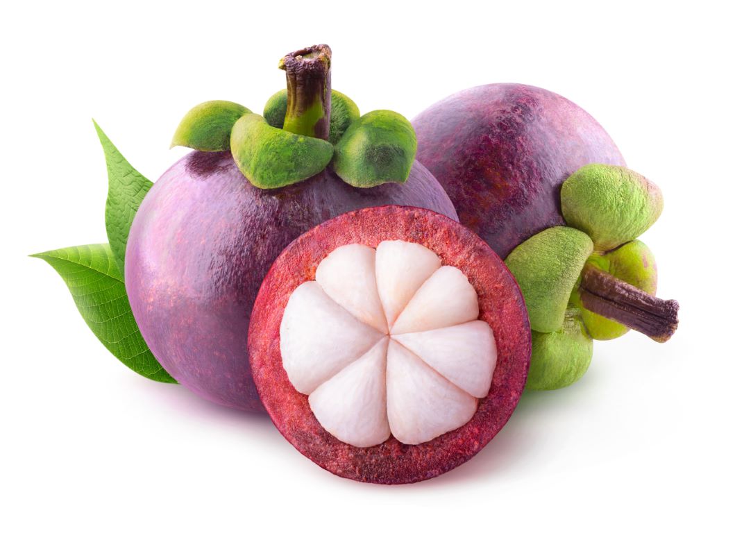 Mangosteen Medium