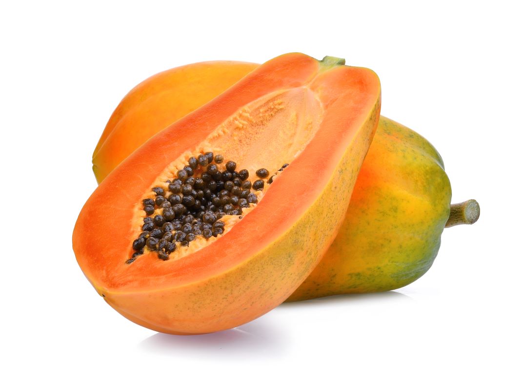 Papaya Medium