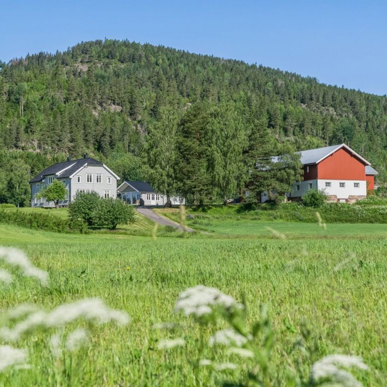 Garden i Vestfold BeeKi